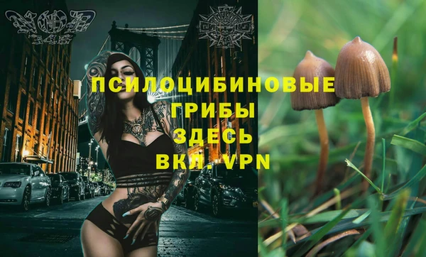 шишки Алексеевка