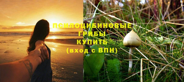 шишки Алексеевка